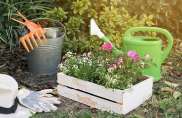 Beginner Friendly Approach